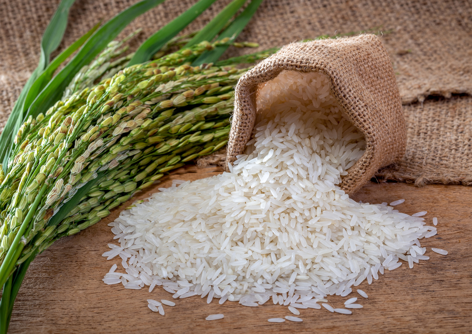 Rice