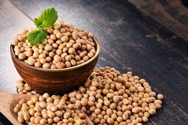 Soya Beans